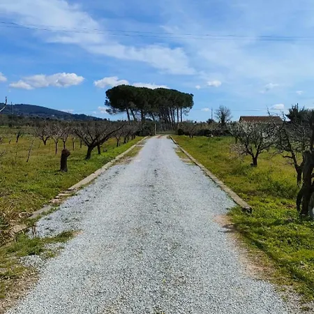 Διαμέρισμα A Casa Di Ilaria Venturina Terme